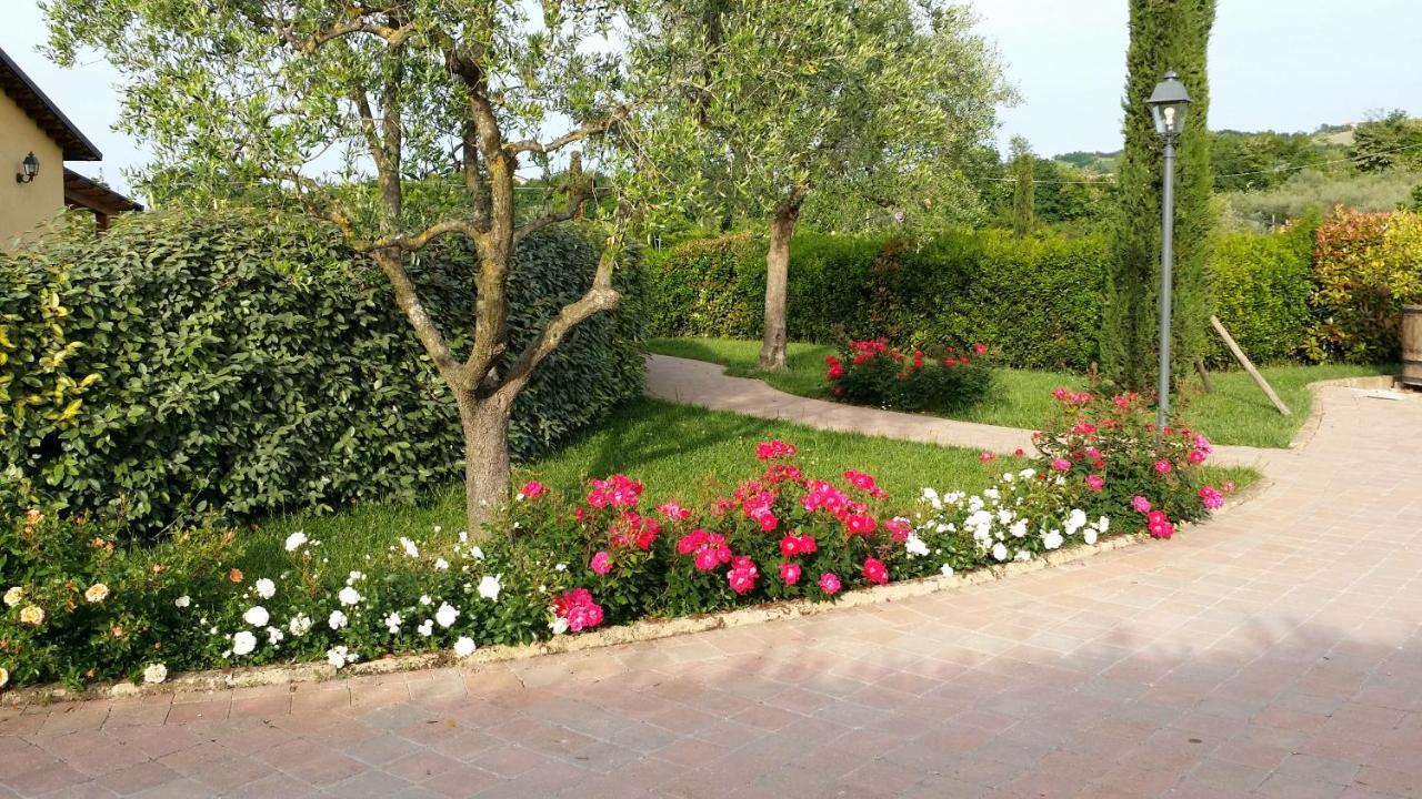 Valle Del Metauro Country House Montemaggiore al Metauro Luaran gambar