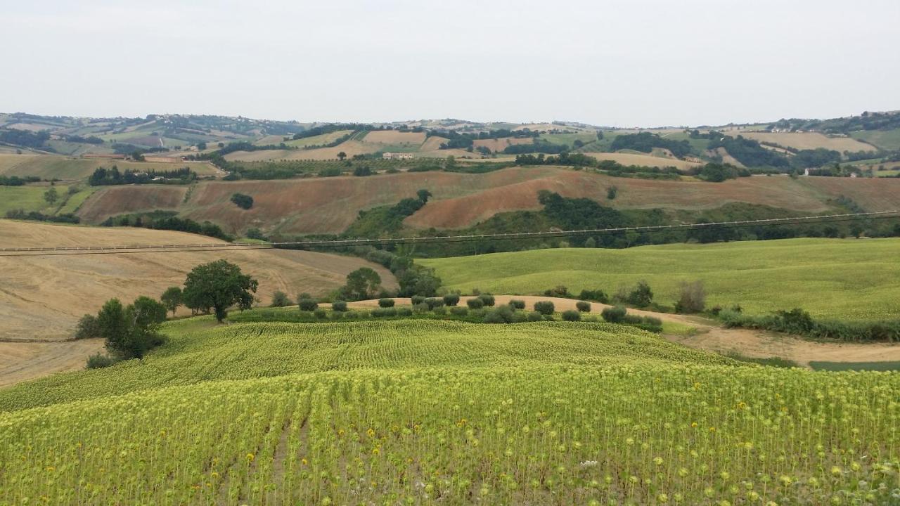 Valle Del Metauro Country House Montemaggiore al Metauro Luaran gambar