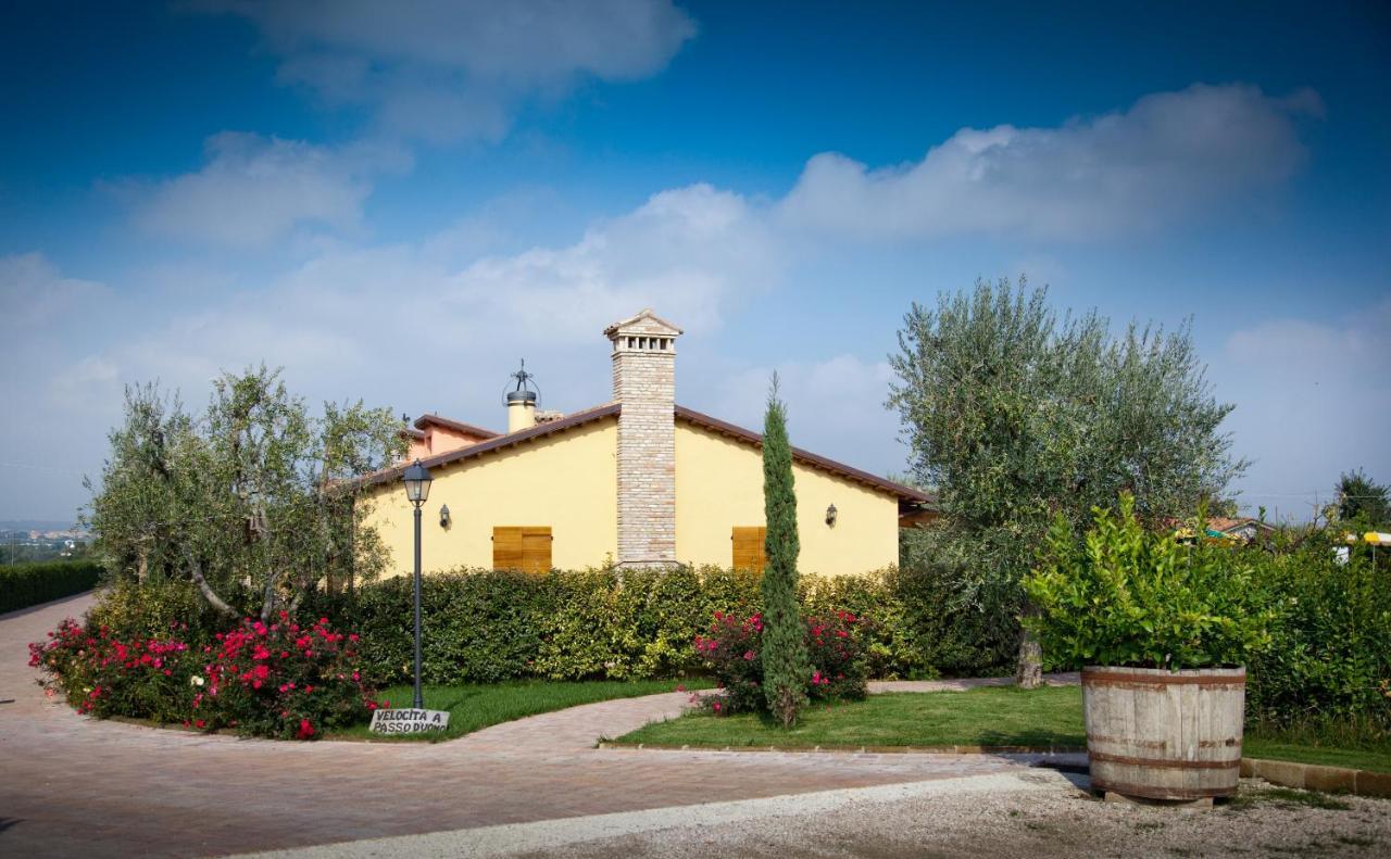 Valle Del Metauro Country House Montemaggiore al Metauro Luaran gambar